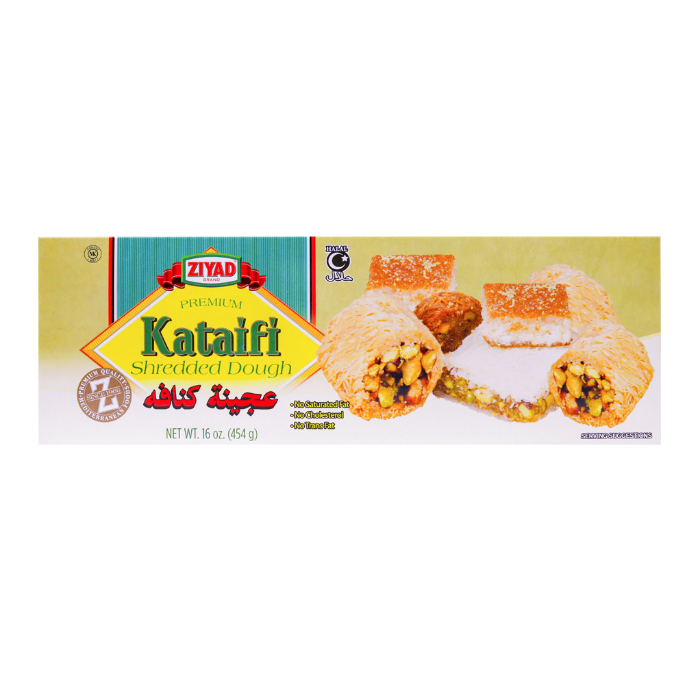 Ziyad Kataifi - Frozen